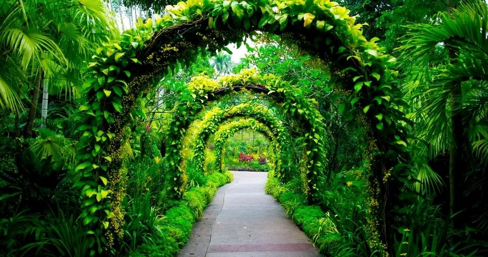 Perfect Garden Makeover